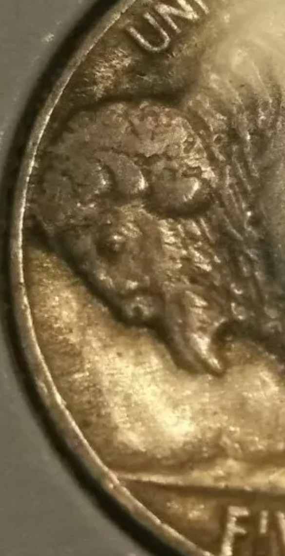 1916-5c-Buffalo-Nickel